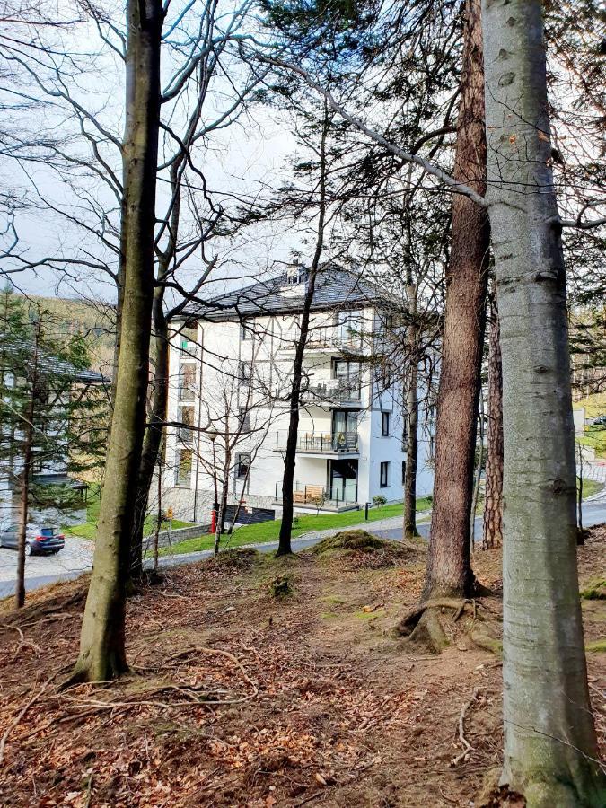 Apartament Wlochatka Z Sauna Finska Swieradow-Zdroj Exterior photo