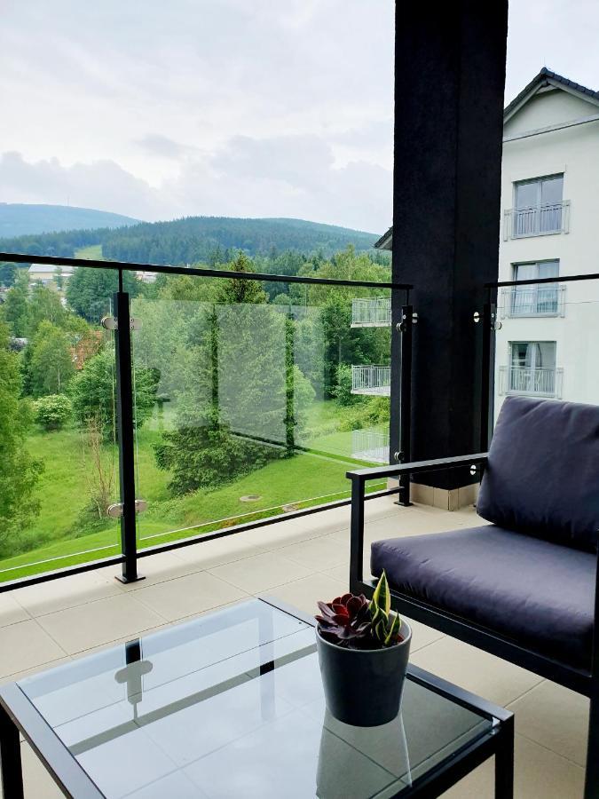 Apartament Wlochatka Z Sauna Finska Swieradow-Zdroj Exterior photo